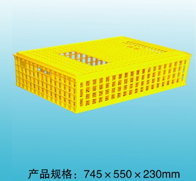 F004 組合式鴿用周（zhōu）轉箱（xiāng）